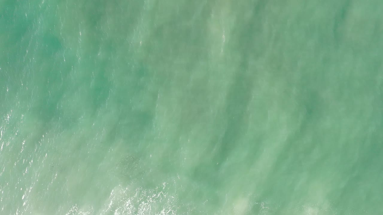 Pale green sea surface with faint foam and bright specks of light.