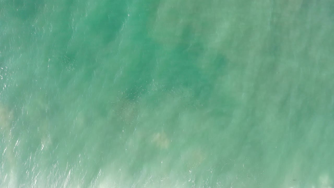 Blue-green shallow ocean water over pale sand.