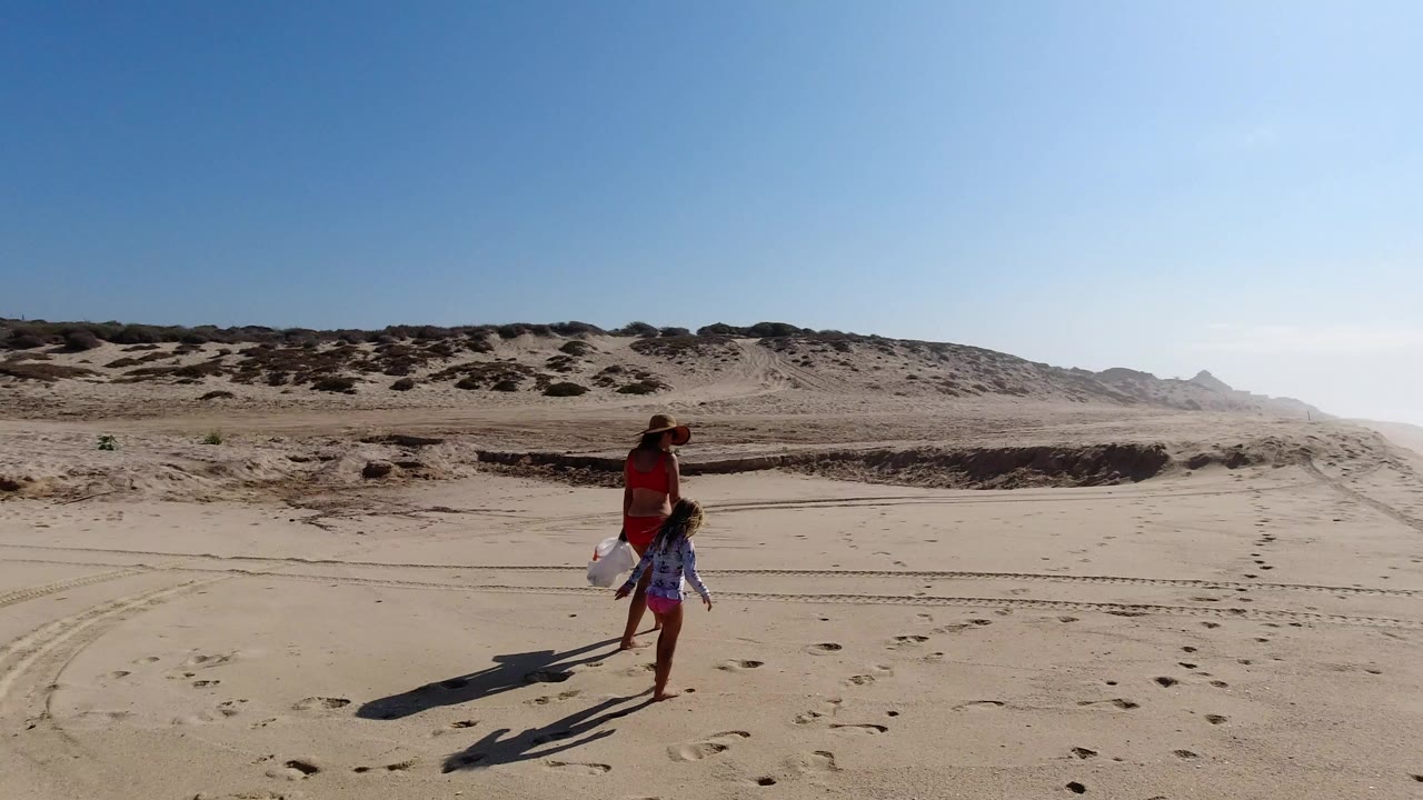 Adult and child walking on a sandy beach near dunes.