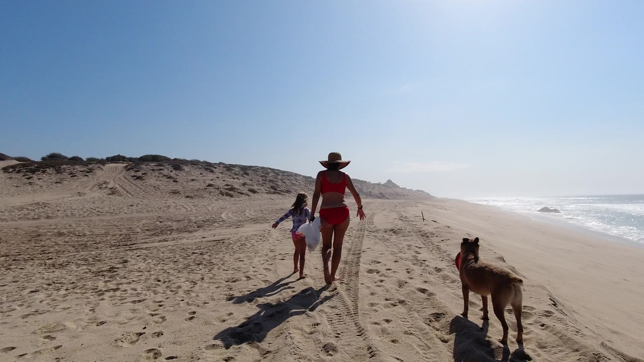 Woman, child, and dog walking along a sandy beach beside ocean surf.