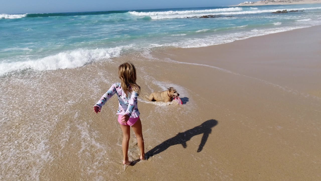 A young girl in pink swim bottoms moves along the wet sand toward a resting dog as foamy water spreads across the Los Cabos shoreline behind them.
