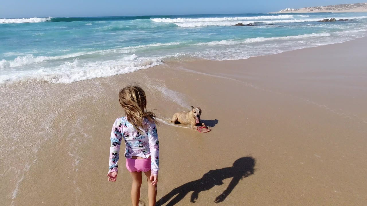 Girl watches dog from wet sand with ocean behind