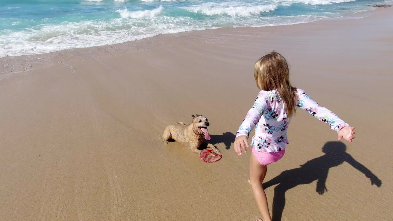 In Los Cabos, Mexico, a young girl approaches a small dog lying near a red frisbee on sunlit sand as waves break at the top of frame.
