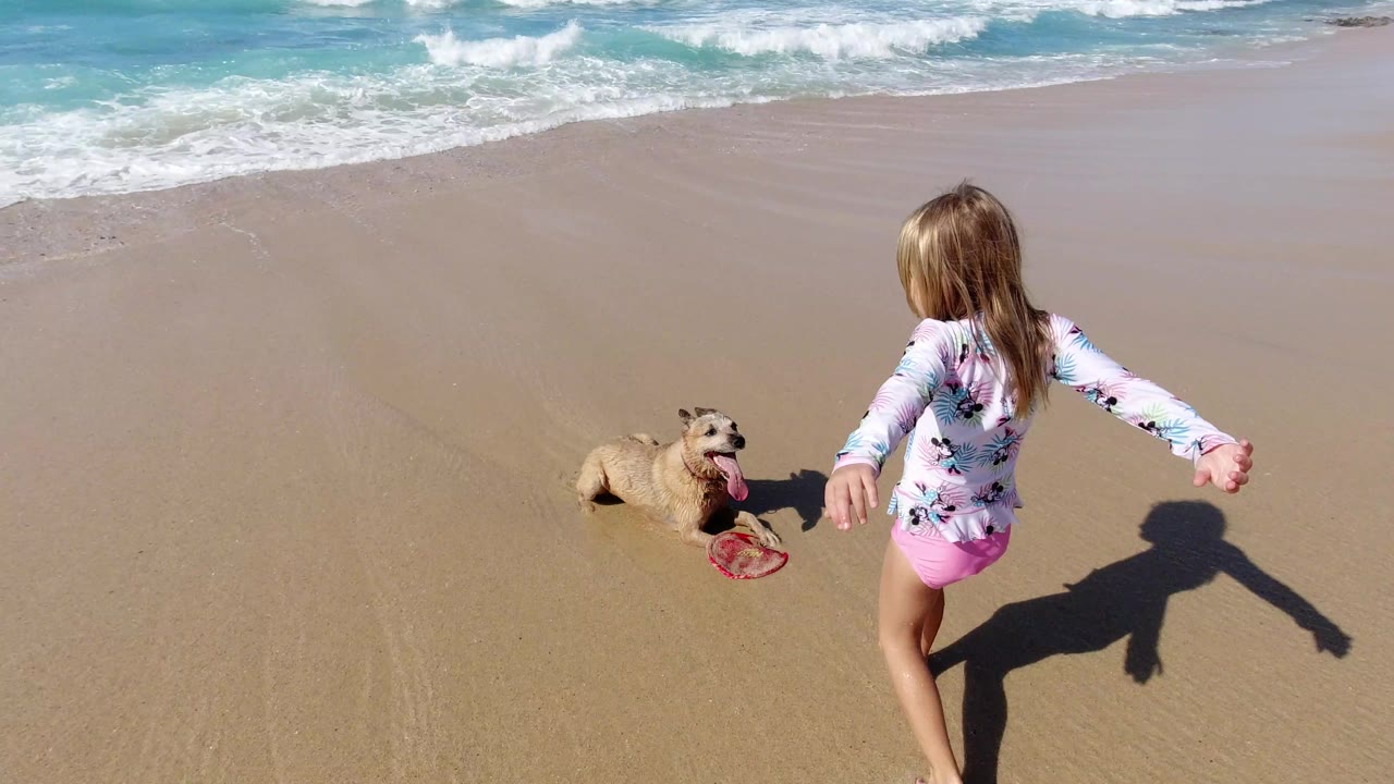 In Los Cabos, Mexico, the girl runs with arms out toward the small dog and red frisbee while white surf rolls in beyond them.