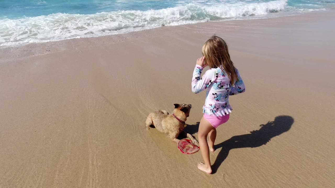 Girl stands near dog and frisbee on beach with waves behind.
