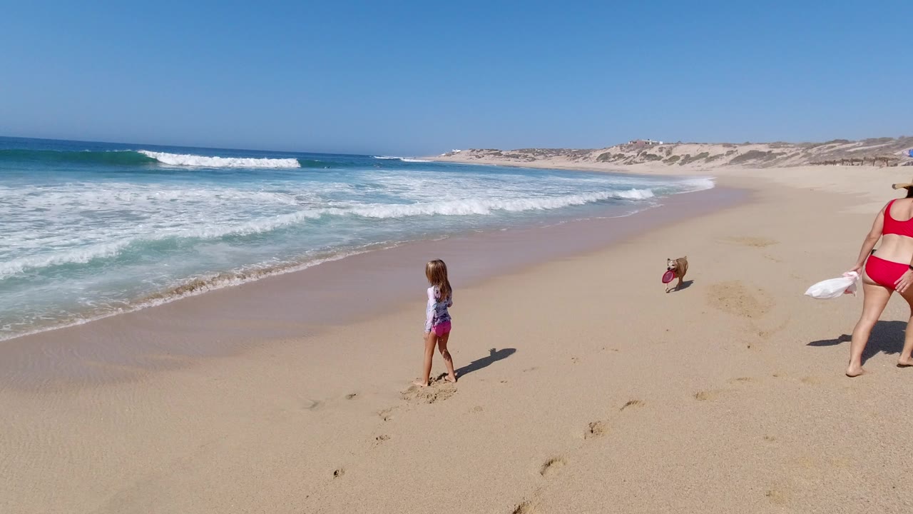 Young girl and dog on a sandy beach with surf and dunes.