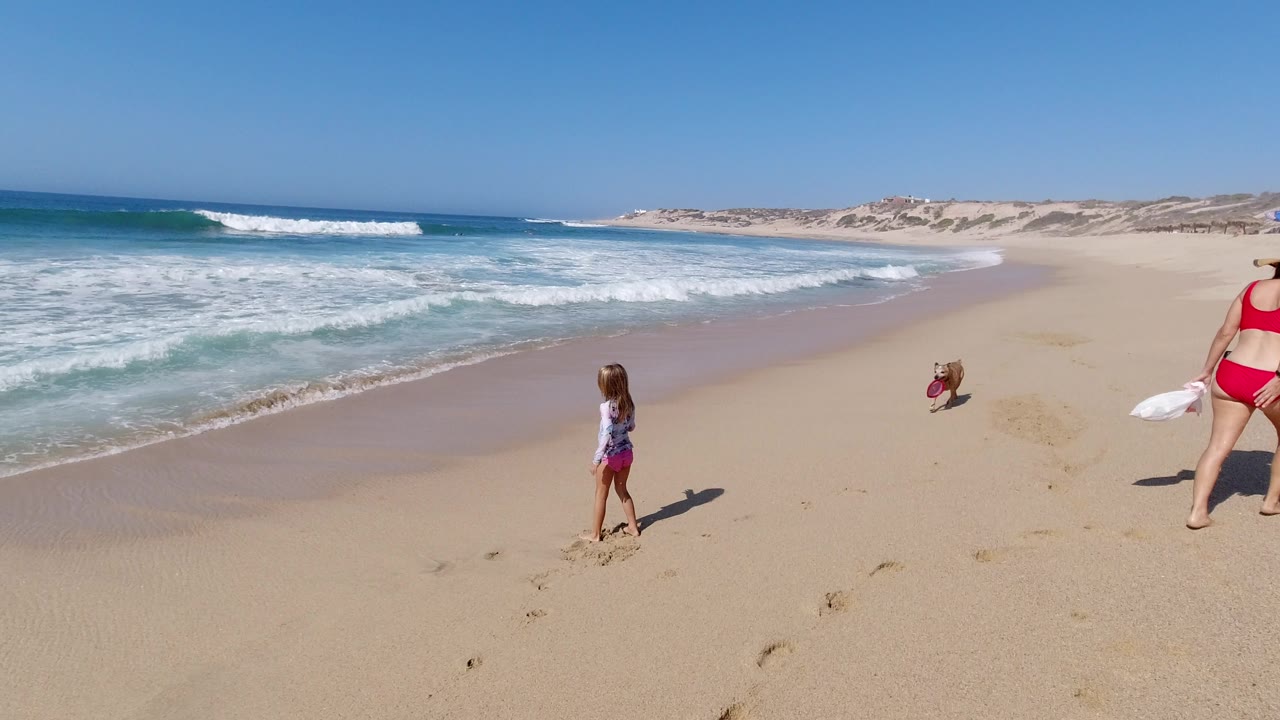 At 0:01 in Los Cabos, the girl remains near the wet sand while the dog moves across the open beach and the adult figure is still cropped at the right edge.