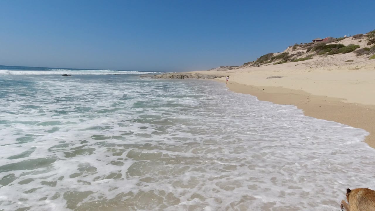 Surf covers wet sand with dunes and open beach in the background.