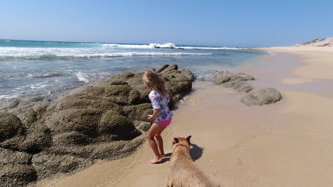 Girl and tan dog near rocks on a sandy beach with surf behind them.