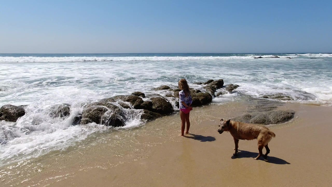 Child and tan dog on sandy beach beside rocks and surf.