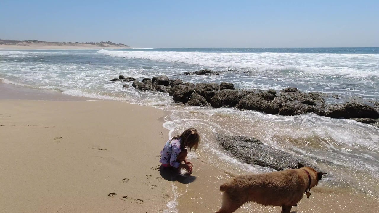 At 0:01 in Los Cabos, Mexico, the girl remains crouched near the waterline while the brown dog moves closer to the center foreground and foam spreads around the rocks.