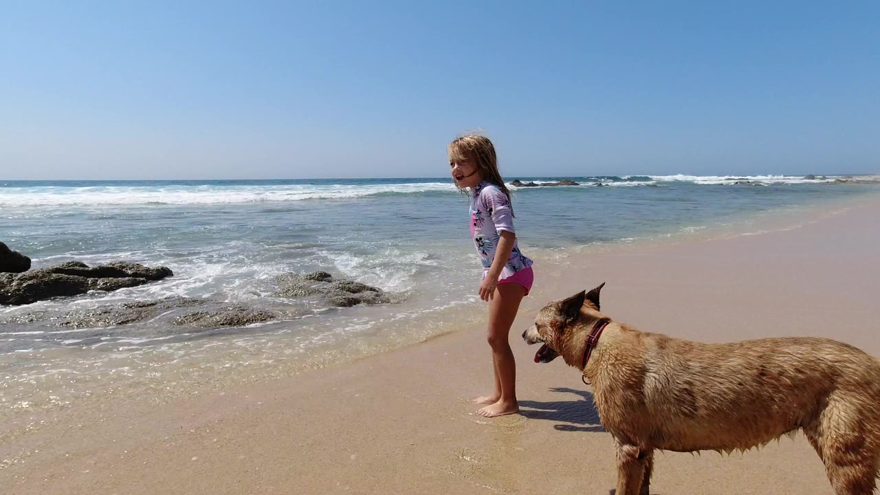 A young girl in swimwear stands on wet sand beside a tan dog in Los Cabos, Mexico, with low rocks, breaking waves, and a clear blue sky behind them.