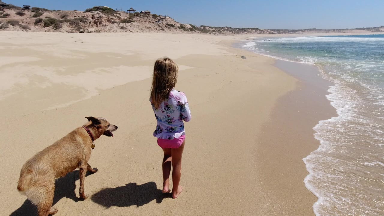 At the start of the Los Cabos clip, a child stands near the wet sand while a tan dog walks at left and the ocean surf runs along the right side of the frame.