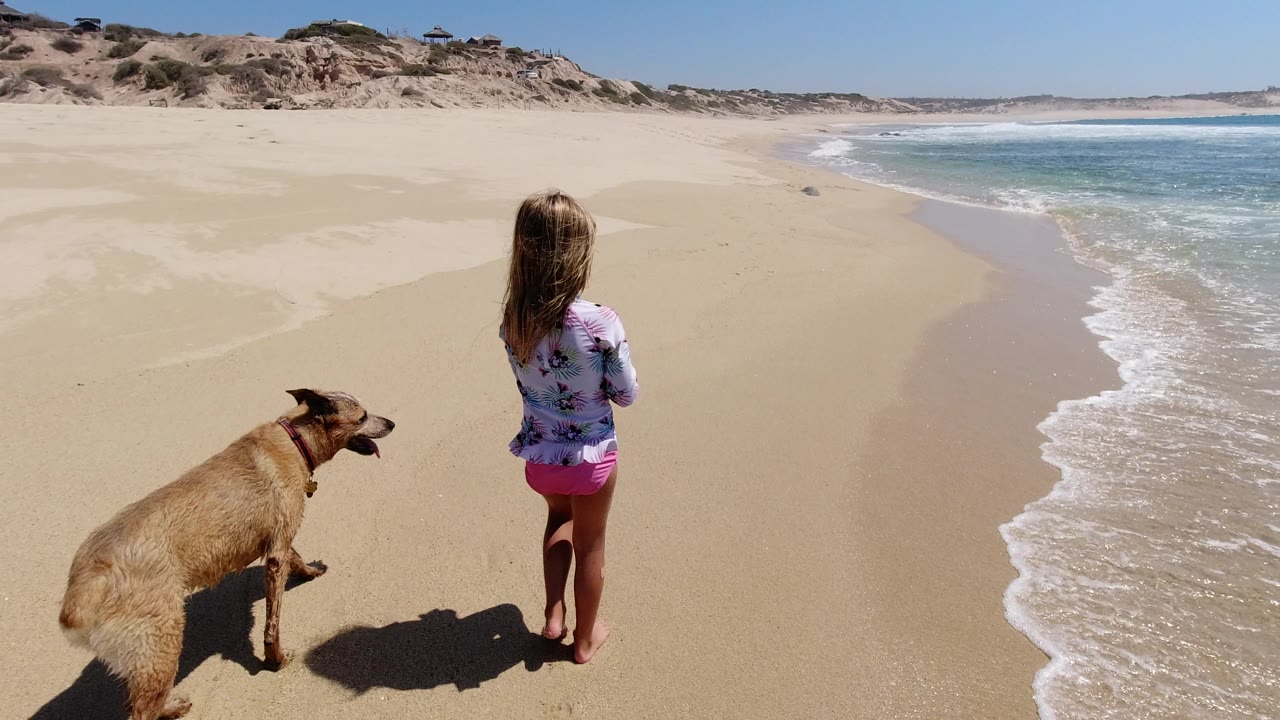 One second into the Los Cabos footage, the child faces down the beach while the tan dog moves beside her and a thin line of foam curves across the wet sand.