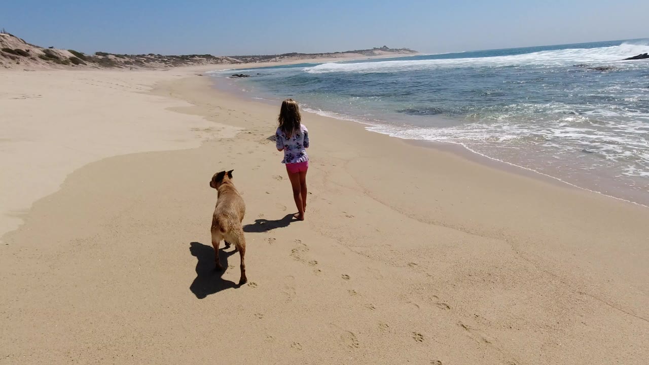 A young girl walks ahead of a tan dog on a wide Los Cabos beach, with blue water and white surf running along the right side of the frame.