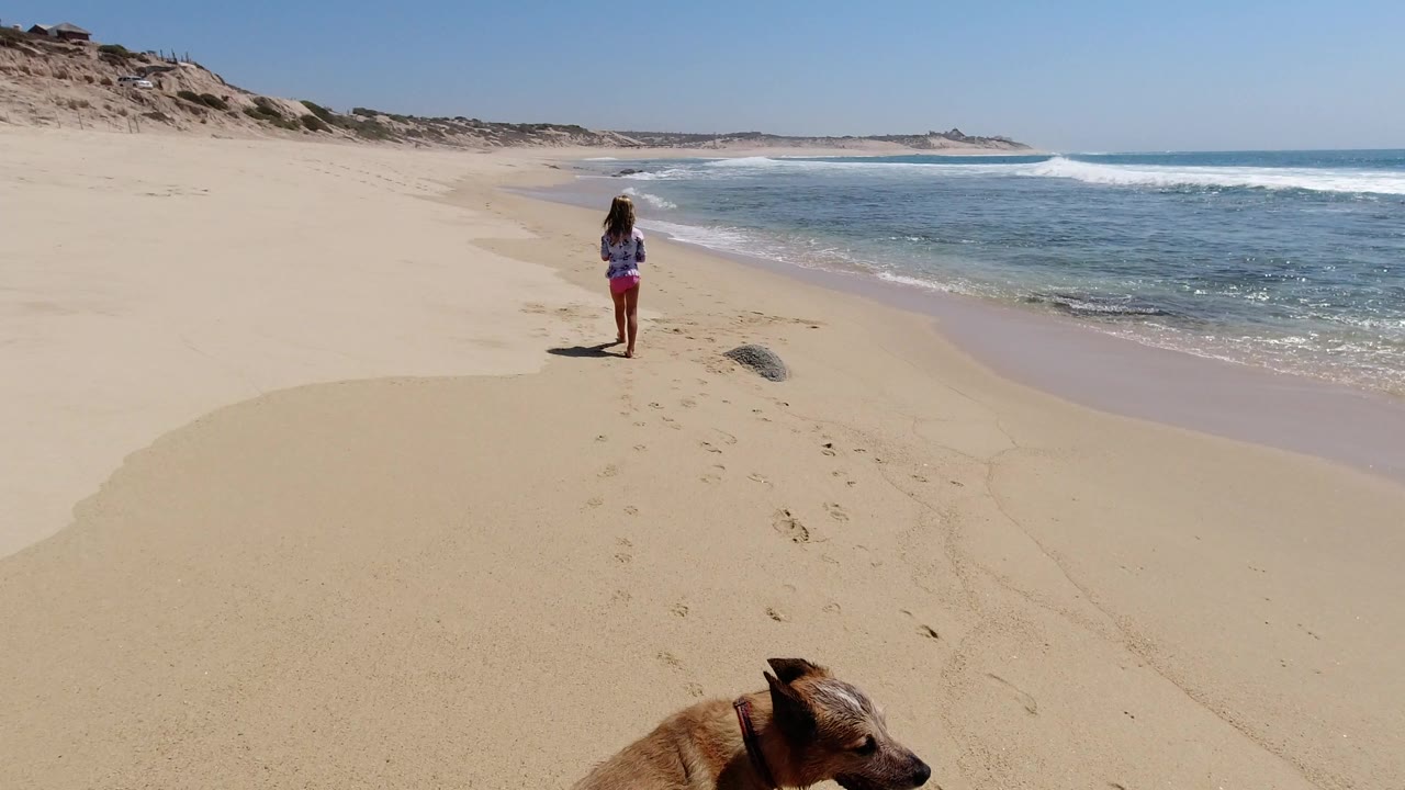 In Los Cabos, Mexico, the woman remains centered on the beach near the waterline, with the dog cropped at the bottom and white waves breaking to the right.