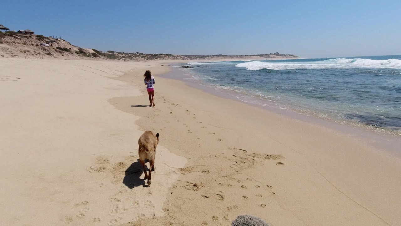 One second in, the dog is closer to the camera on the sandy track of footprints while the woman continues ahead near the waterline in Los Cabos.