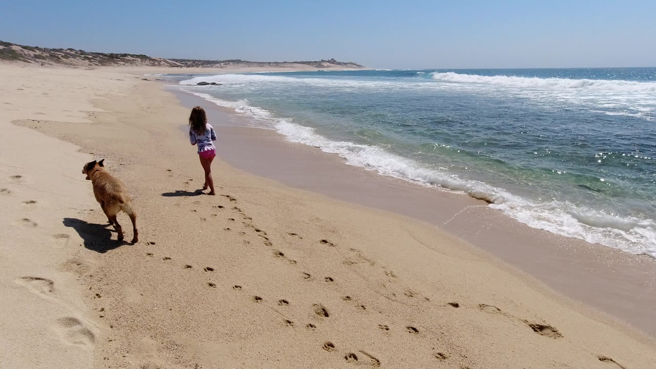 The child pauses closer to the waterline while the dog moves through the foreground sand on the Los Cabos beach under bright midday light.