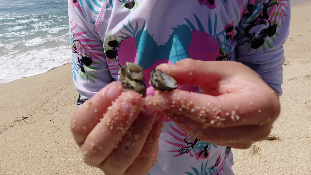 The child keeps both sandy hands raised with the small sea snails centered, while the Los Cabos beach and breaking waves remain visible behind the swimsuit.