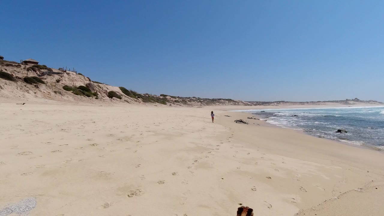 At 0:00 in Los Cabos, Mexico, a young girl appears small in the midground on a wide sandy beach, with surf on the right, dunes on the left, and the dog's head just entering the lower edge.