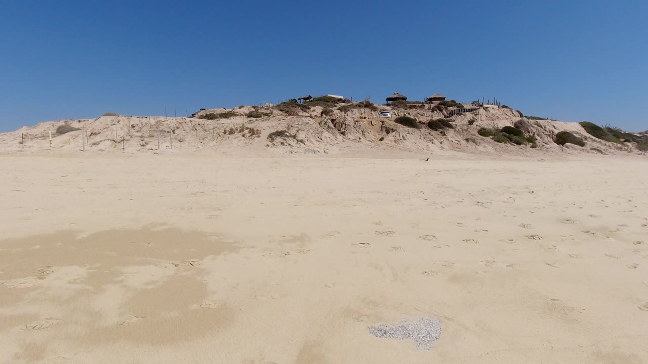 Sunlit beach sand and distant dunes with scrub along the ridge line.
