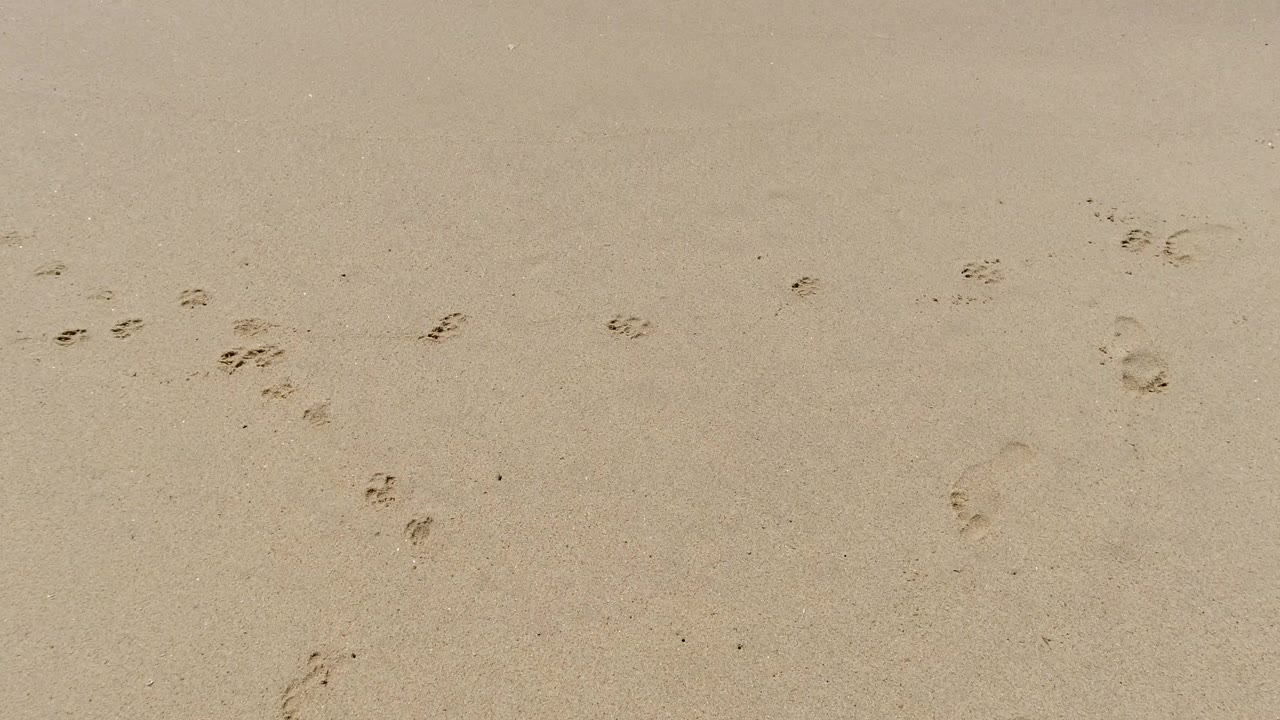 Dry tan sand in Los Cabos shows scattered footprints across the frame, with no surf in view yet and no visible people.