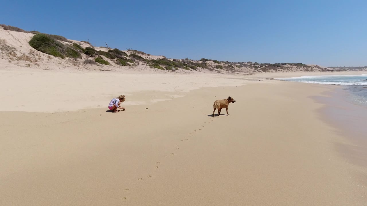 Young girl crouches on a sandy beach near a brown dog.
