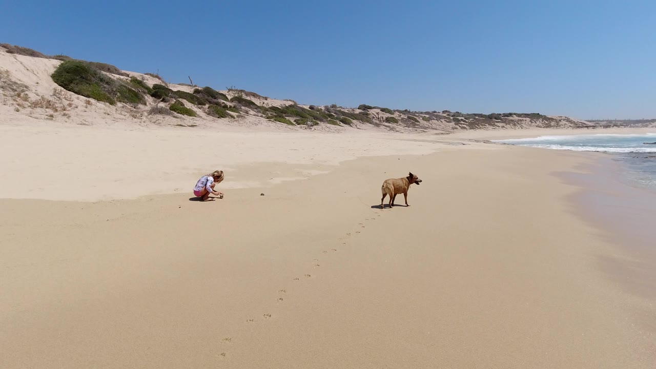 The girl remains crouched on the Los Cabos beach while the dog stands closer to the wet sand, with the surf line farther right and low dunes stretching behind them.