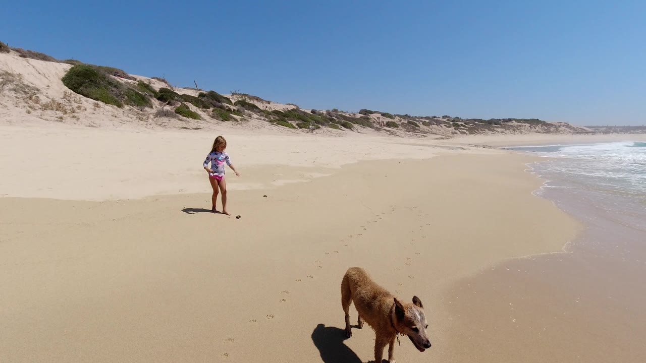 Young girl and brown dog on a wide sandy beach near surf and dunes.