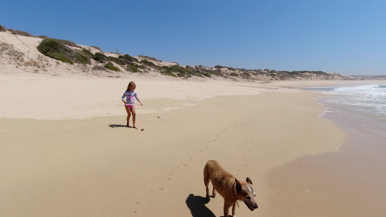 At 0:01 in Los Cabos, Mexico, the girl remains mid-frame looking down at the sand as the brown dog moves along the lower edge, with bright surf visible to the right.