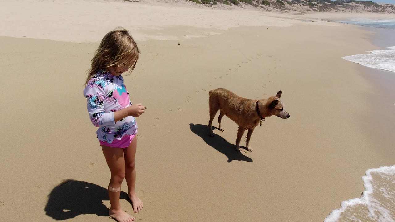 The girl remains on the left side of the Los Cabos beach while the dog faces toward the shoreline and a thin band of white water appears on the right.