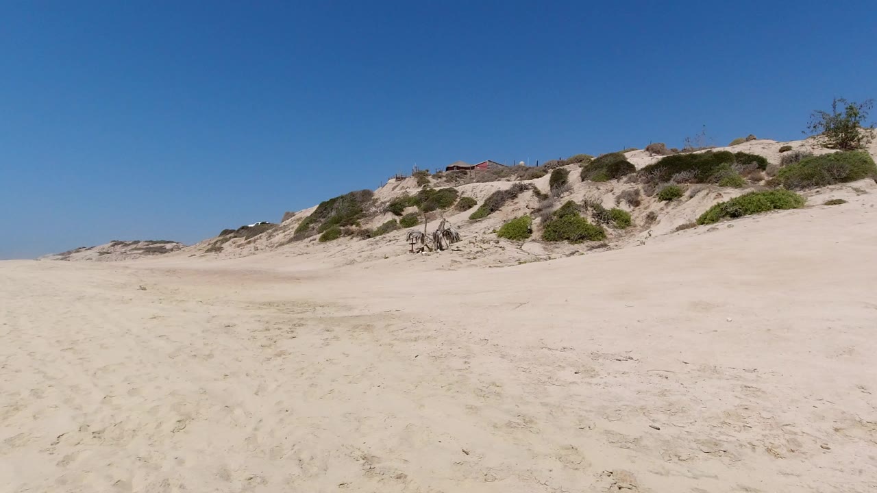 Wide sandy beach with dunes and blue sky.