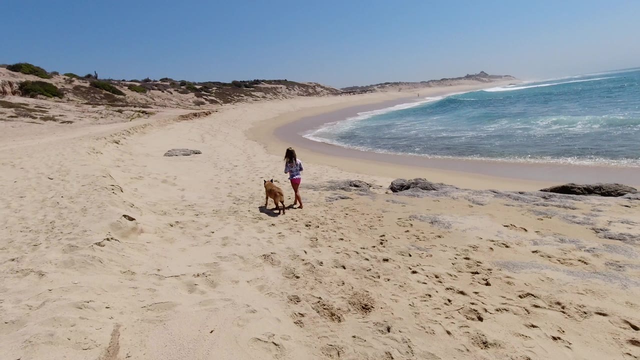 Young girl and tan dog on a sloped sandy beach beside blue surf.