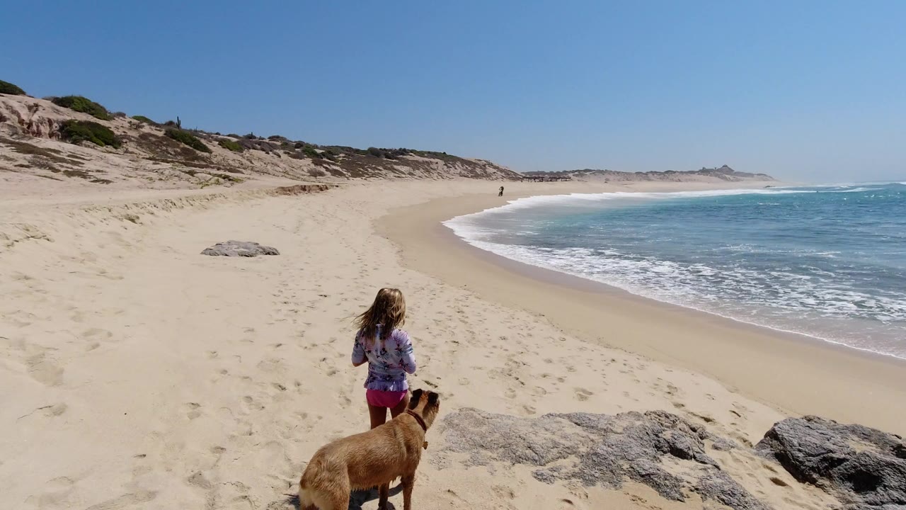 Girl and dog on a sandy beach with waves and dunes