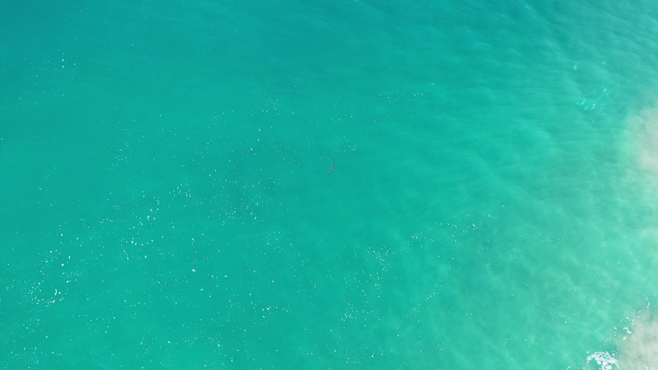 Overhead view of green-blue ocean water in Los Cabos, Mexico, with scattered sun glints and a small patch of pale foam near the lower right, no visible people.