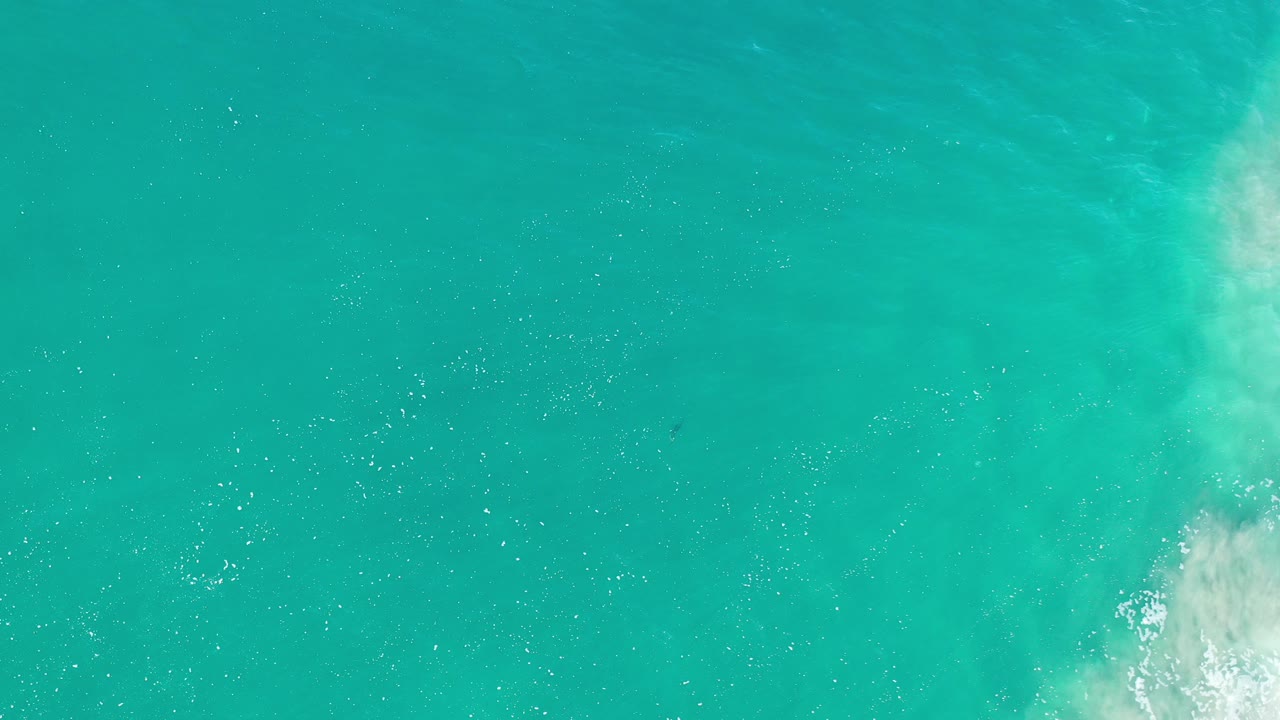 Overhead view of turquoise ocean water in Los Cabos, Mexico, with small white foam entering near the lower right and no visible people.