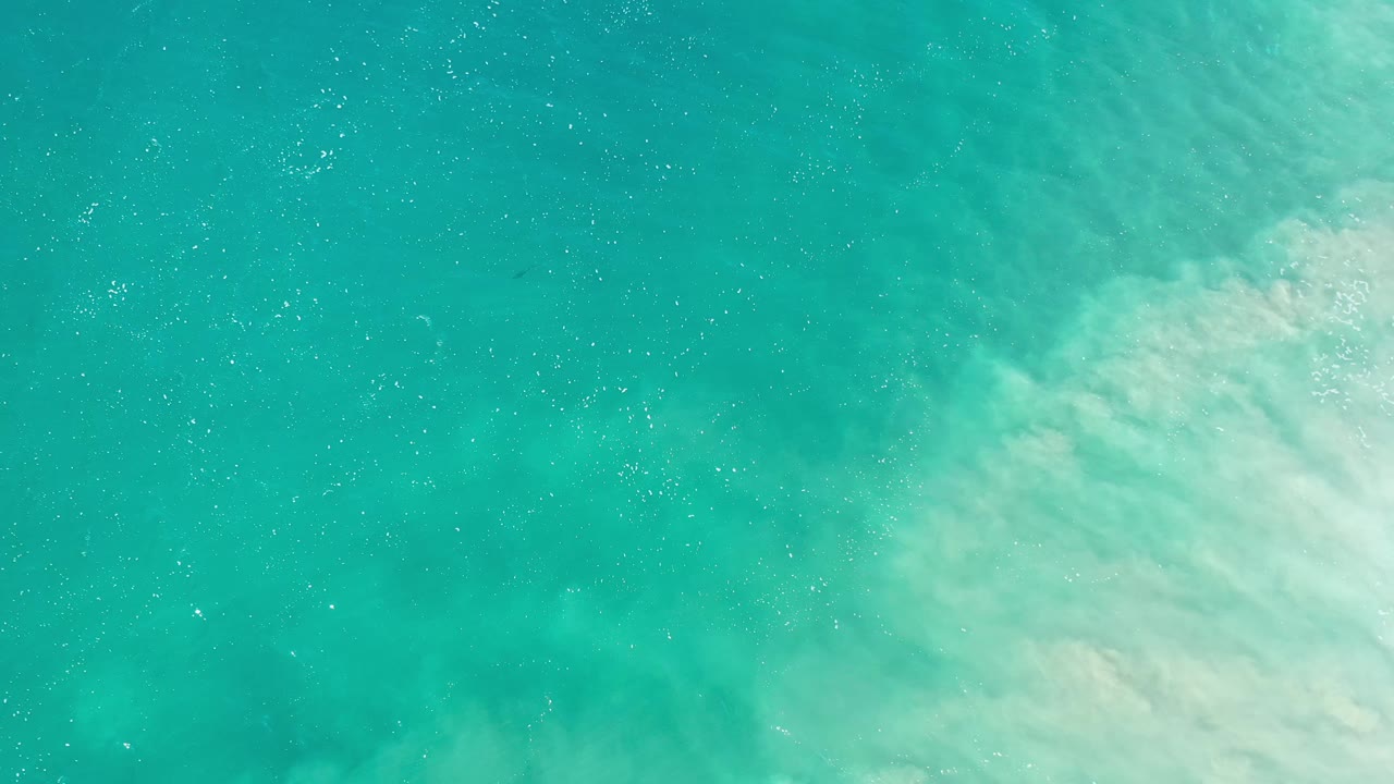 Overhead Los Cabos water frame with a faint dark turtle-like shape beneath the turquoise surface, pale surf to the right, and no visible people.