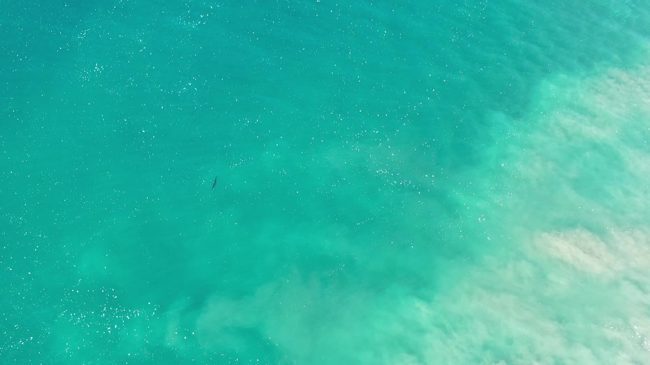 Overhead view of turquoise ocean water in Los Cabos, Mexico, with white surf foam gathering along the right edge and no visible people.