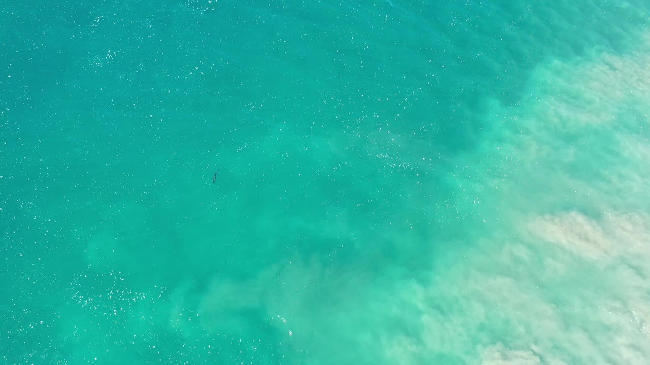 Turquoise ocean seen from above with surf foam entering at lower right.
