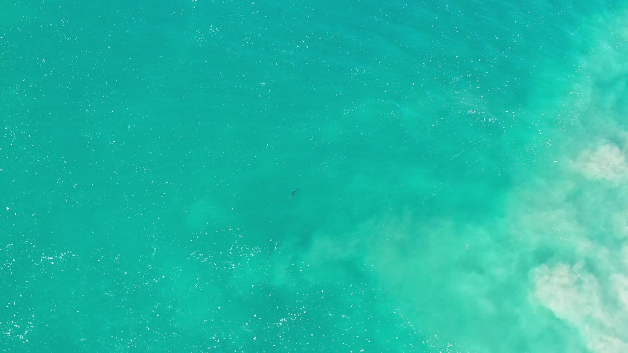 Opening frame of emerald green underwater view in Los Cabos, Mexico, with pale sand clouding the right side and no visible people.