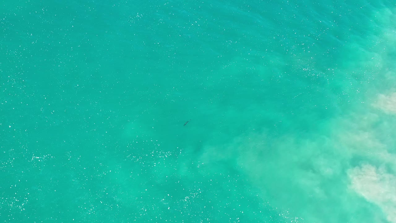 Underwater green water with pale sand haze.