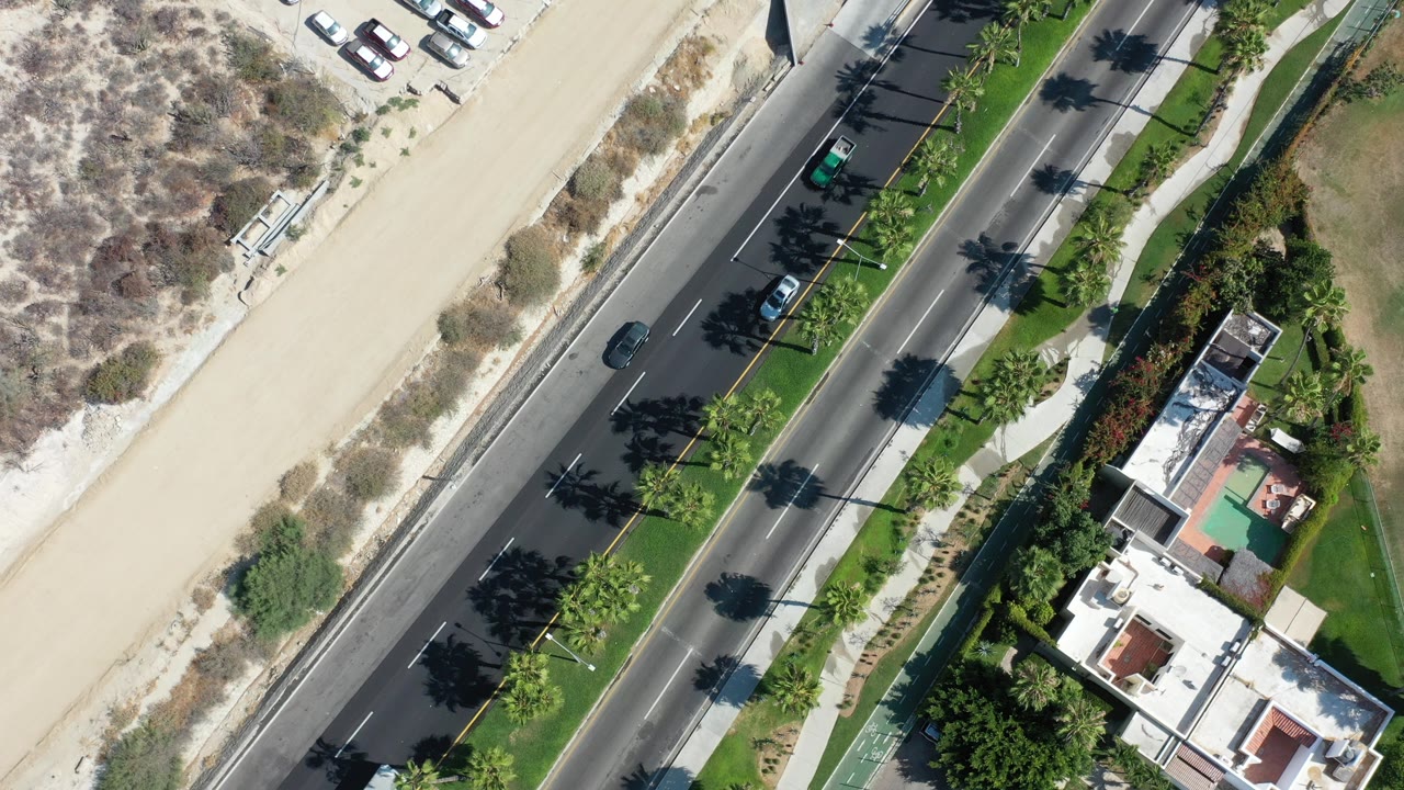 Overhead view of a palm-lined road beside sand lots and homes.