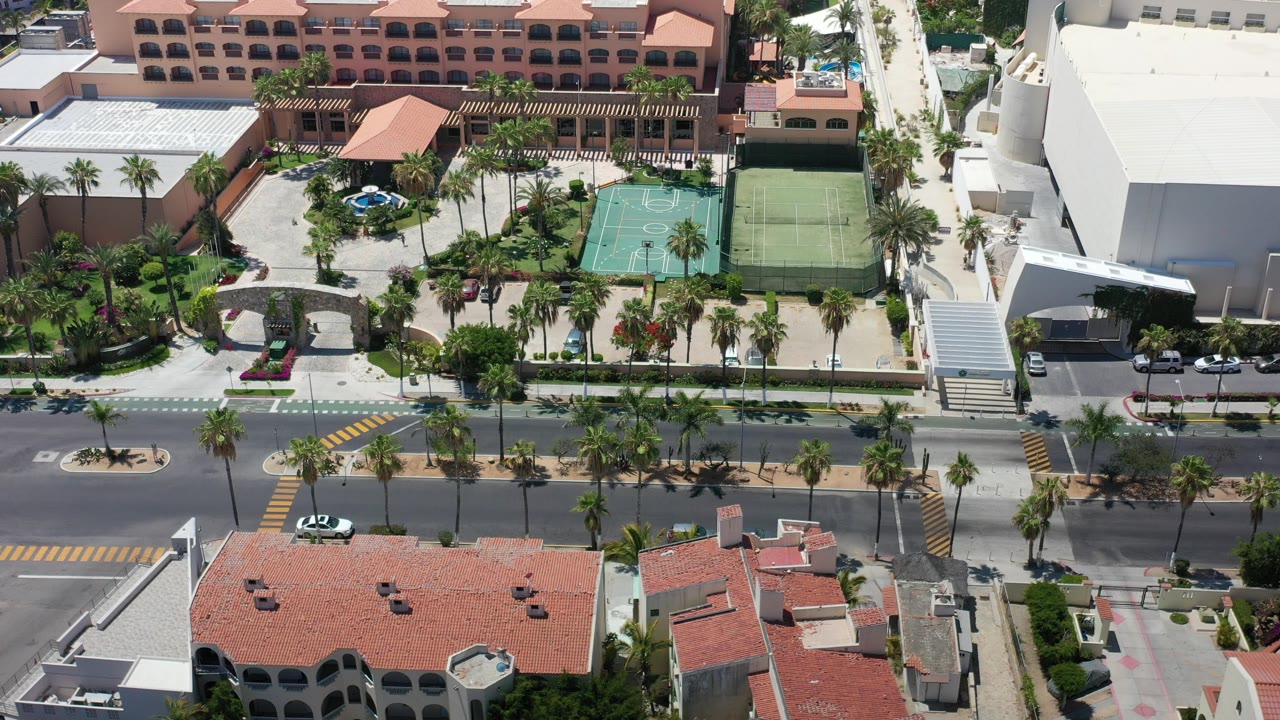 Overhead view of palm-lined road, buildings, and sports courts