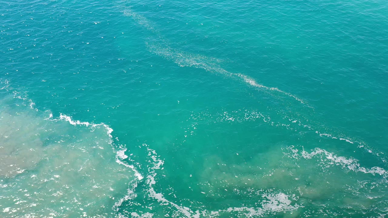 Calm green sea surface with scattered foam and bright highlights.