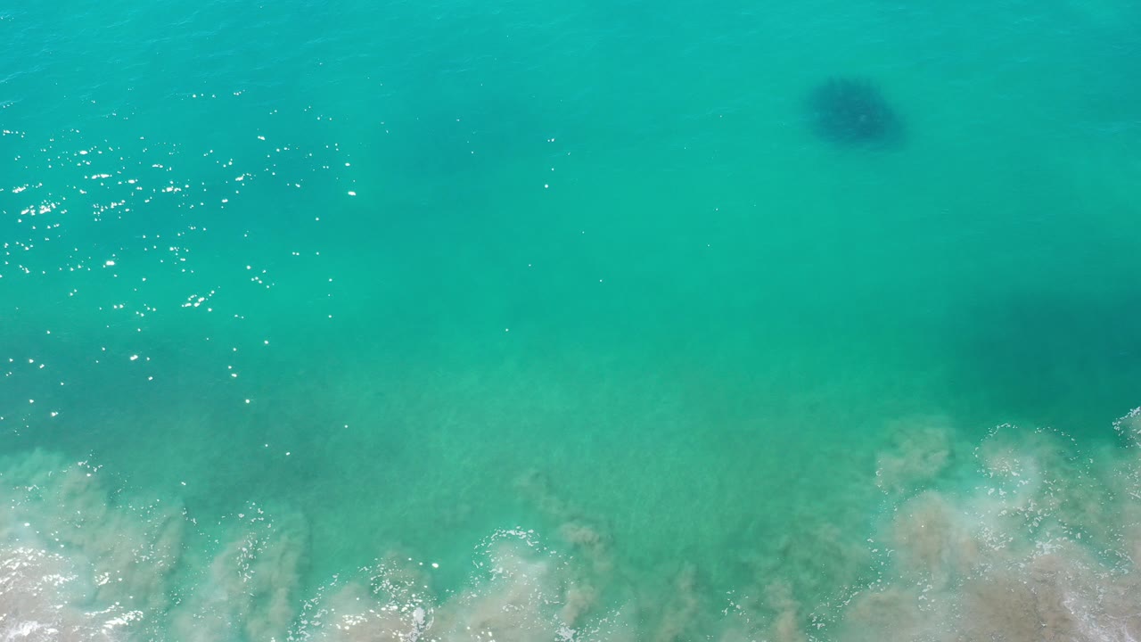Overhead view of clear green water in Los Cabos, Mexico, with a dark circular sea animal shape near the upper center, pale surf along the lower edge, and no visible people.