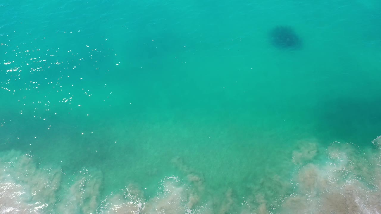 Aerial view of turquoise water in Los Cabos, Mexico, with the dark rounded animal form still near the top of frame, bright glare on the left-center water, and no visible people.