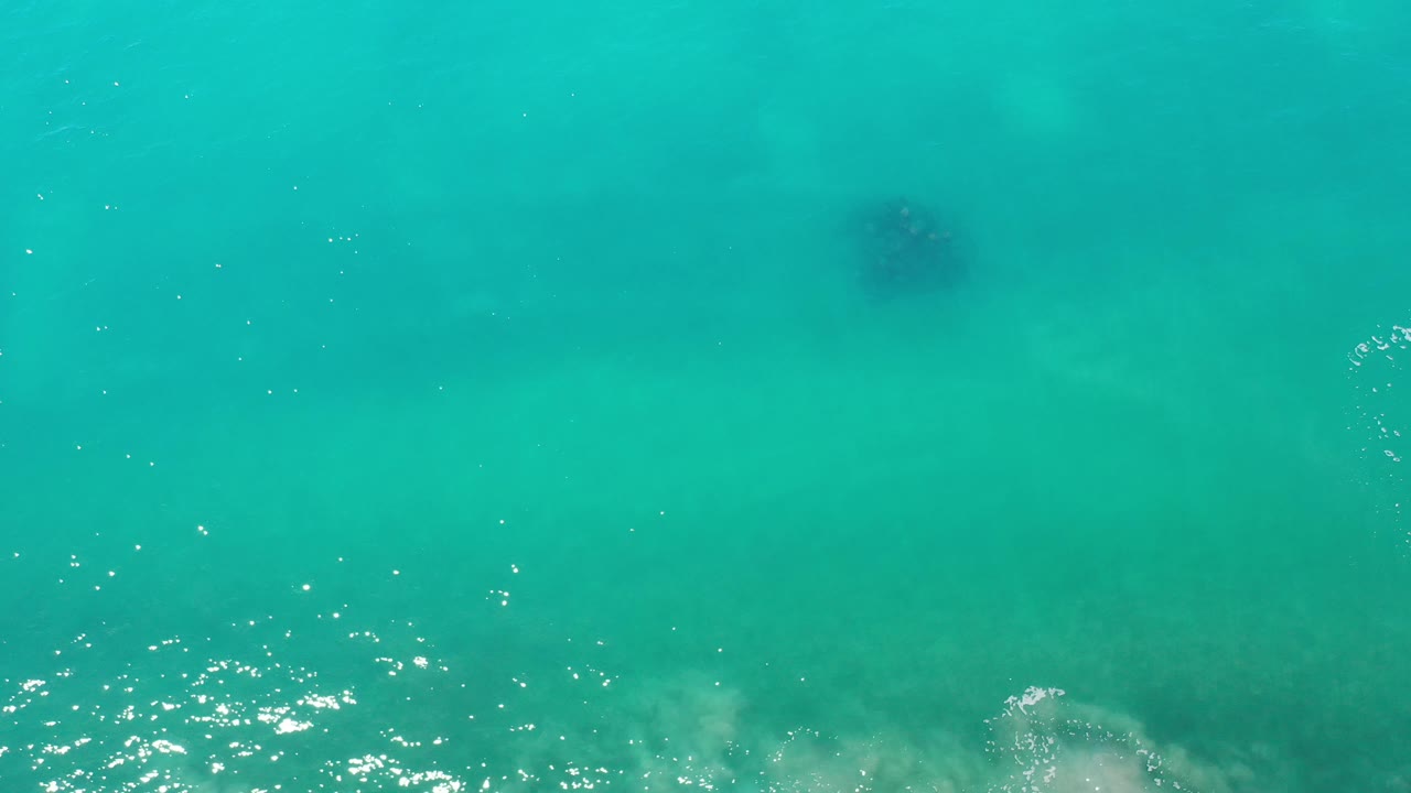 A dark shape sits below the surface of turquoise water with sun flecks nearby.