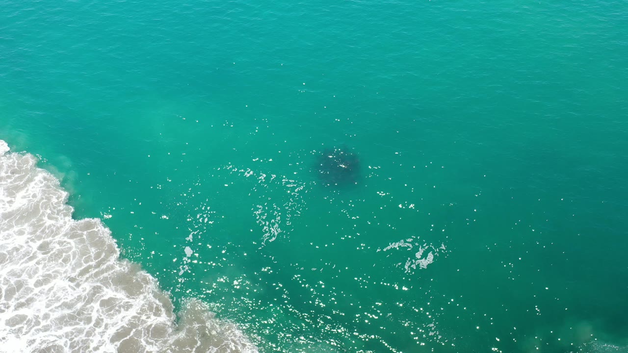 Surf line beside clear green water and a dark circular form.