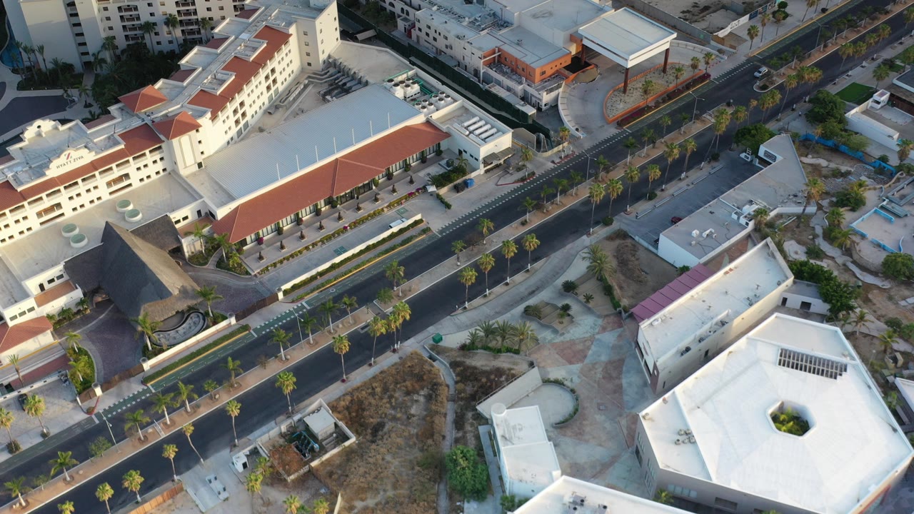 High aerial frame over Los Cabos showing a palm-lined avenue, white modern buildings, red tile roofs, dry lots, and no visible people.