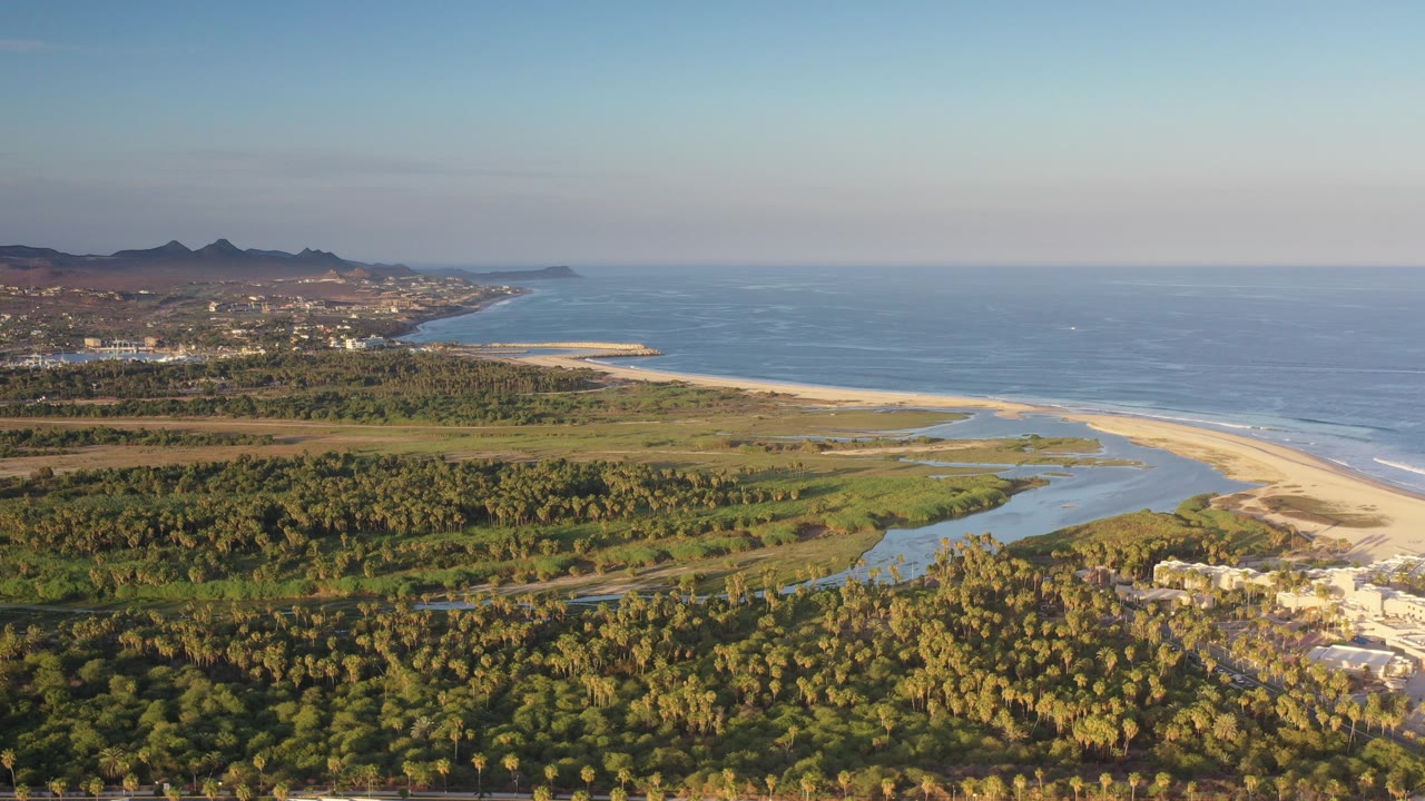 Aerial view of palm forest, lagoon, sandy beach, and ocean coastline.